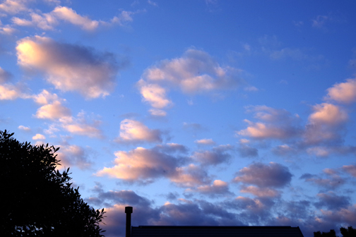 今朝の空