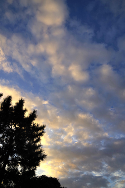 朝空