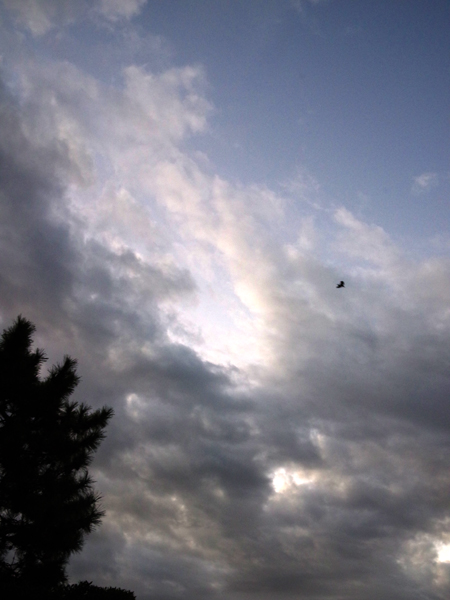 今朝の夜明け空。