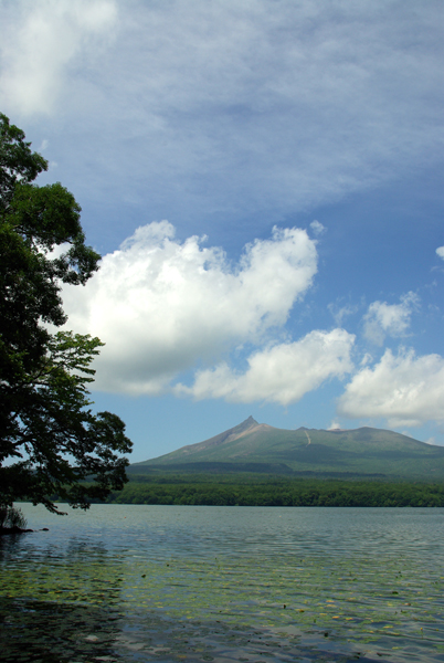 大沼公園