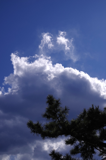 風が強く雲がきれいです。