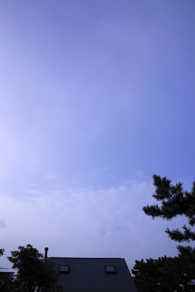 青空が見えて嬉しい。