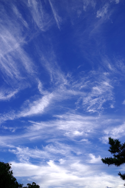 空があんまりきれいだったので……。