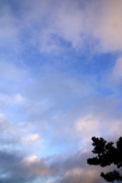 今朝の空