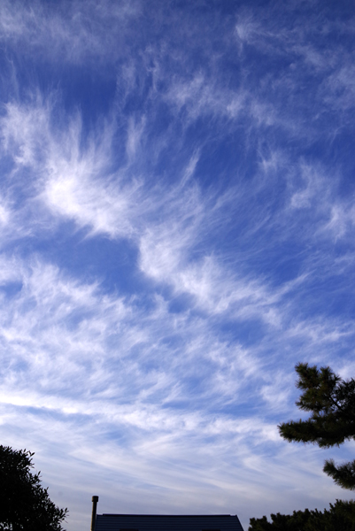 今朝の空