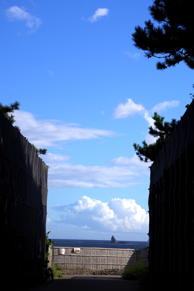 海に出る道。