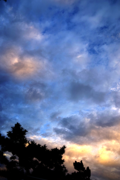 朝空