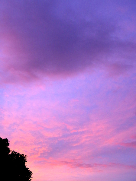 朝空