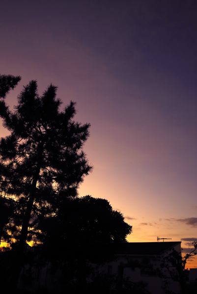 今朝の夜明け空。