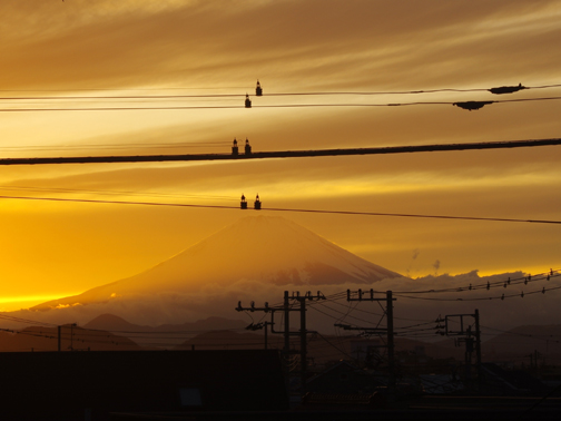 昨夕の電線富士をもう一枚。