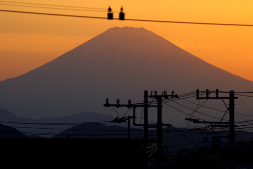 夕暮れの電線富士です。