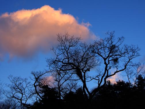 夕雲