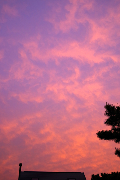 金曜日の夕暮れです。