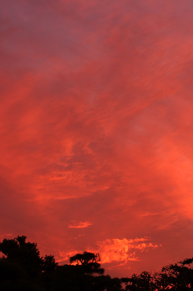 ４年前の今日の夕焼けです。