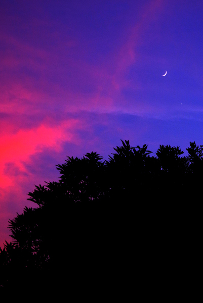 夕空に見惚れたある夏の日。