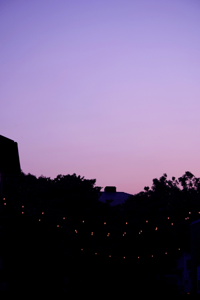 今夕は空が澄んでいました。