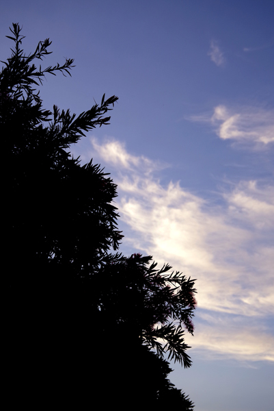 今日の夕暮れ。