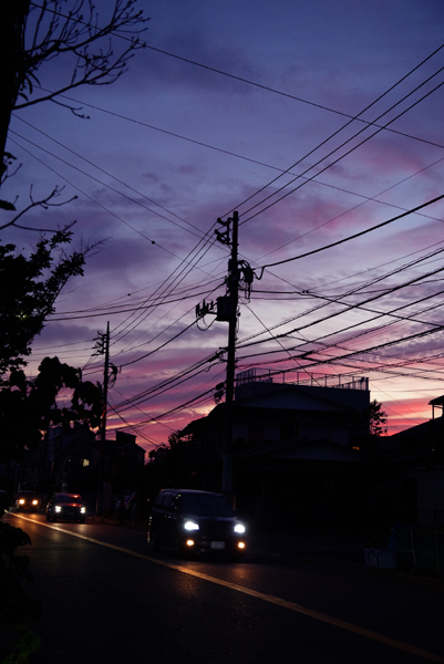 近所の鉄砲通りの夕暮れ。