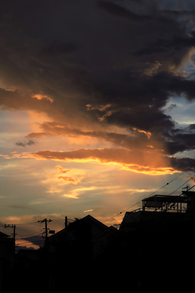 昨日の夕暮れ。