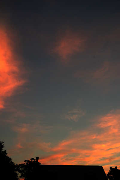 夕空が焼けました。