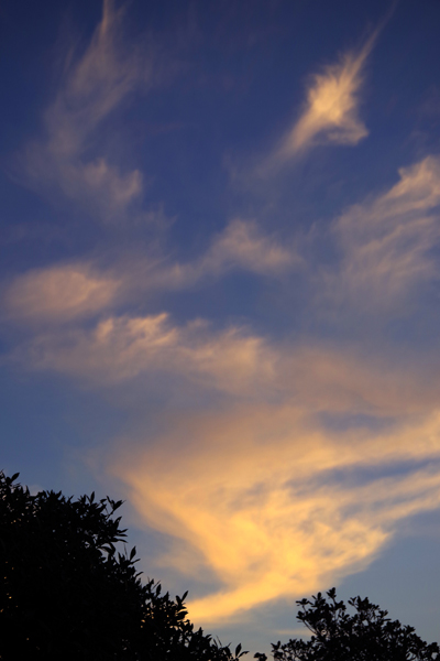 今日の夕空です。