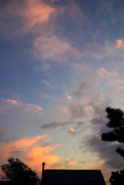 夕空がいい雰囲気でした。