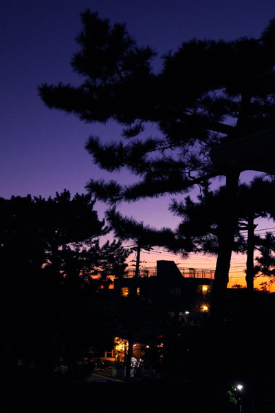 日曜日の夜は静かに更けてゆきます。