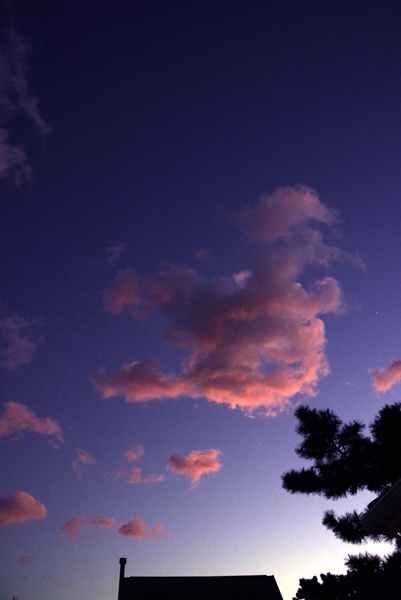 今夕の茜雲。