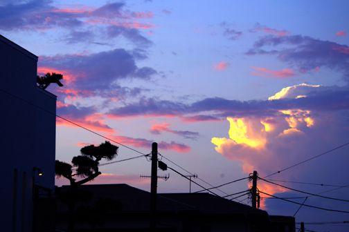 ピンクの雲が浮かんでいました。