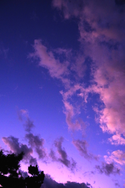 西空の雲が少しだけ染まりました。