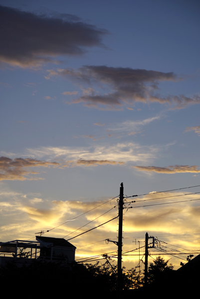 夕雲が金色でした。