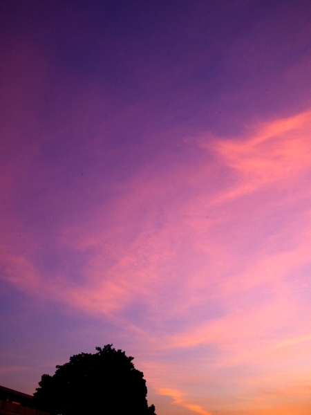 今夕の西空です。