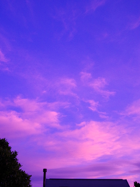 夕雲がきれいな色に染まりました。