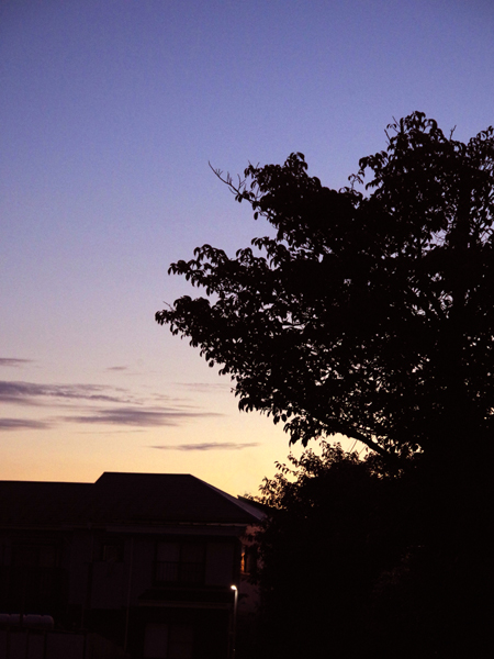 今日の近所の夕暮れです。