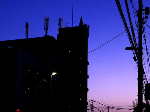 鉄砲通りの夕暮れ。