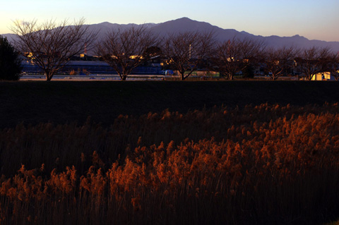 小出川夕景