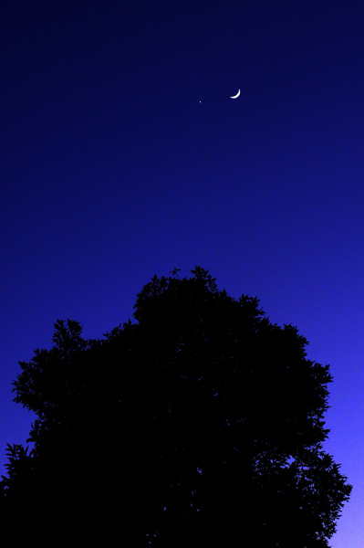 夕月と金星の大接近
