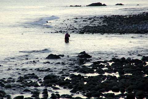 ある日の海９ 「ミステリアス・アイランド　粟島」