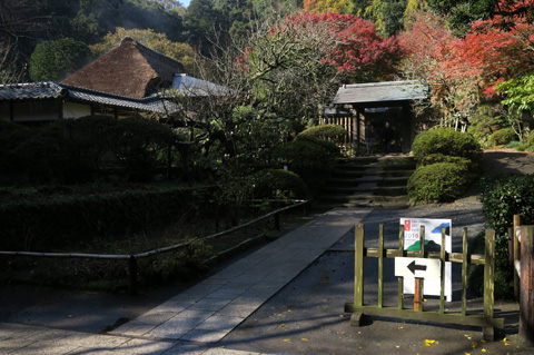 大和田いずみさんの展覧会に行って来ました。