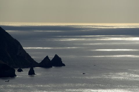 ある日の海1    「静寂の波濤」