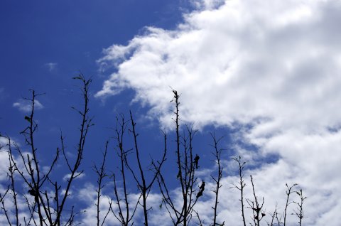 近所の空