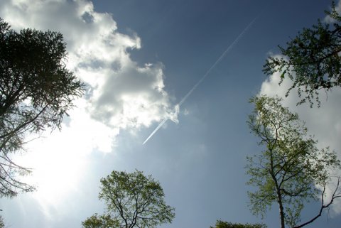 ある日の空　「新緑」