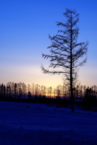 東オホーツクの夕暮れ