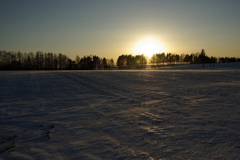 雪原に陽が沈む