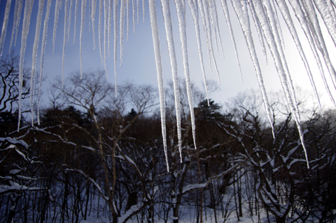 ５年前のこの連休は雪の中にいました。