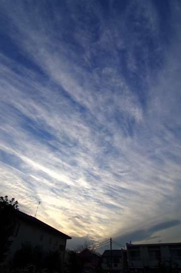 西空は焼けませんでしたが、春めいてきました。