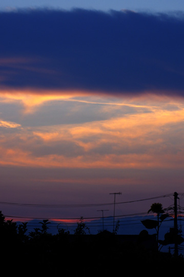 微妙な色合いの夕空でした。