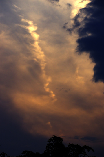 昇り龍のような雲が出ていました。