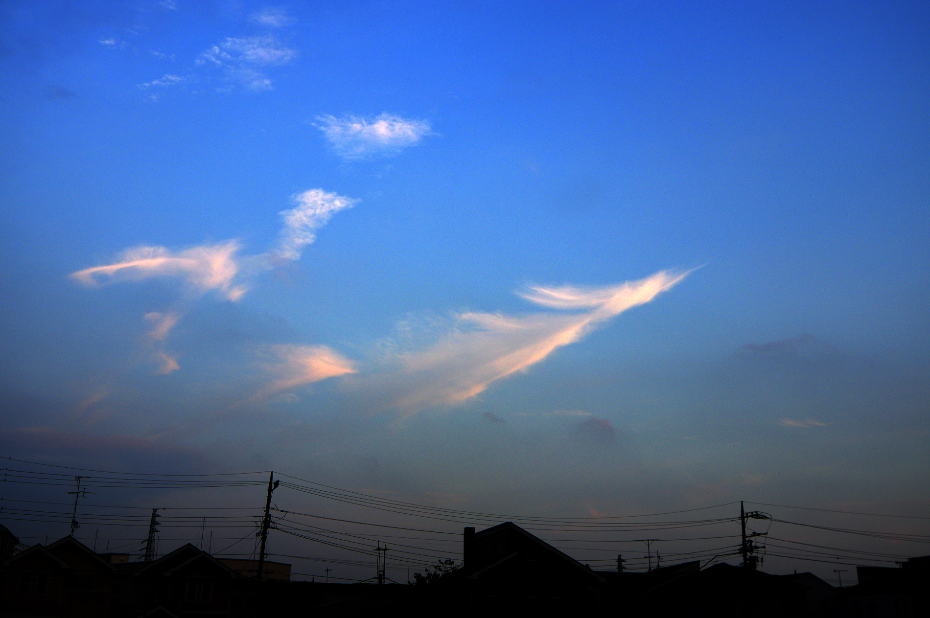 この雲、二羽の鳳凰に見えませんか？| | 鳴神響一のサイト「銀河鉄道 