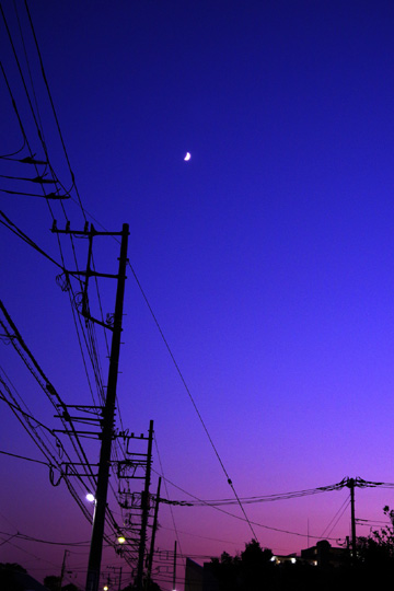 夕空がきれいな季節になって参りました。